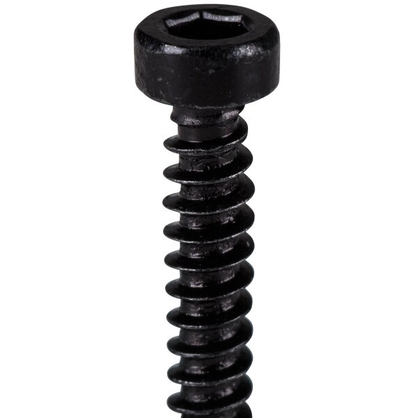 Main product image for M3 x 16mm Cap Head Wood Screws Black 100 Pcs. 081-300